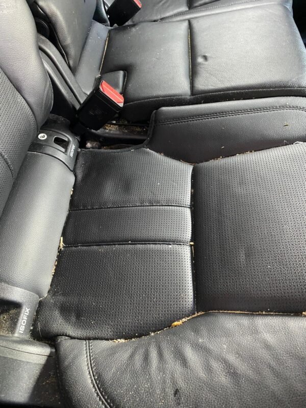 Before interior detail on a Land Rover Discovery Sport (rear seats), Gordon