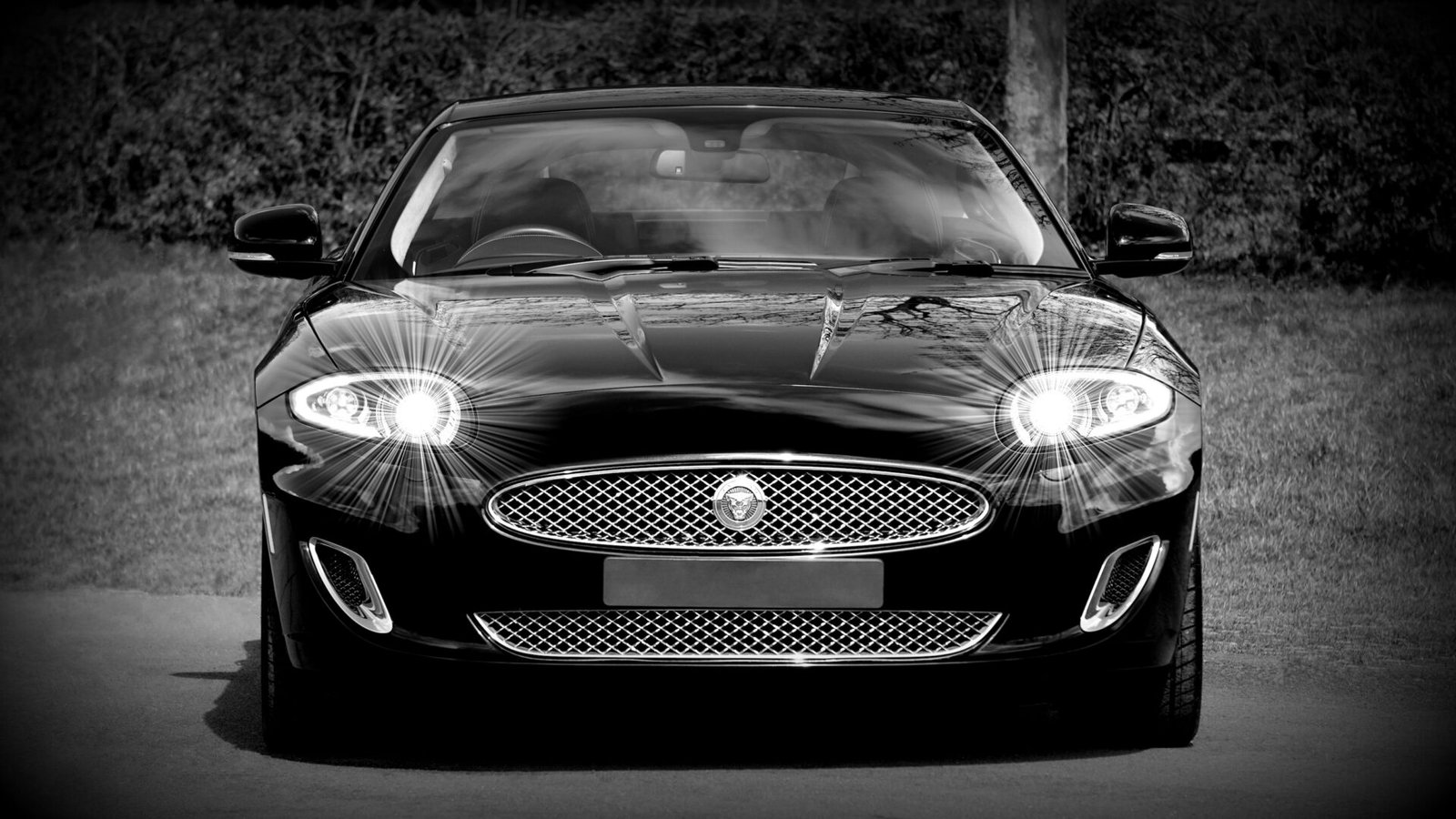 Black Jaguar with flawless paint under studio light